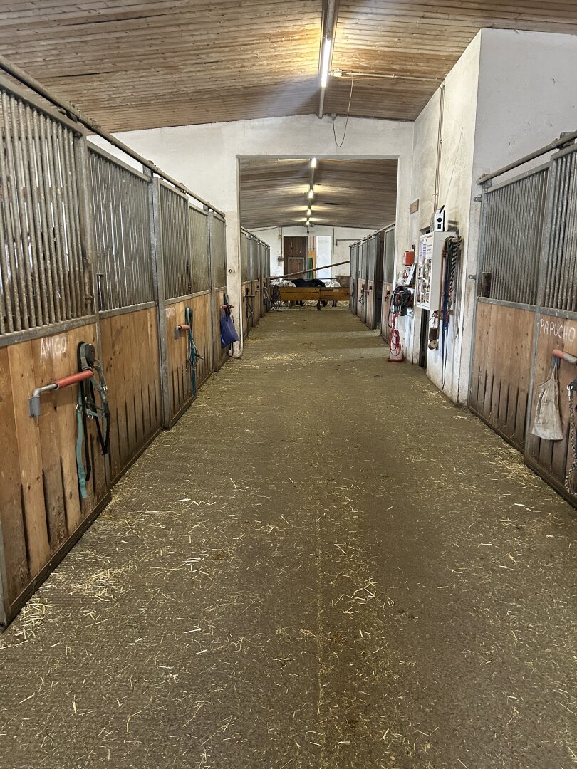 Romantischer Reithof mit Potential