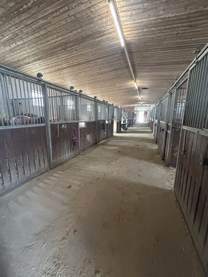 Romantischer Reithof mit Potential