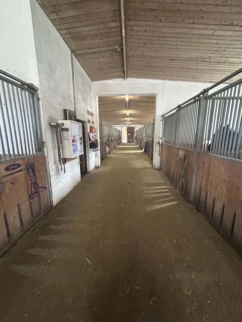Romantischer Reithof mit Potential