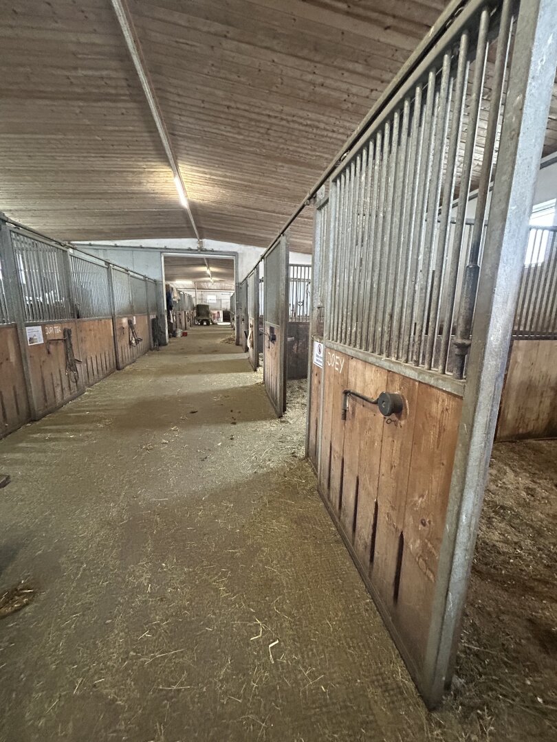 Romantischer Reithof mit Potential