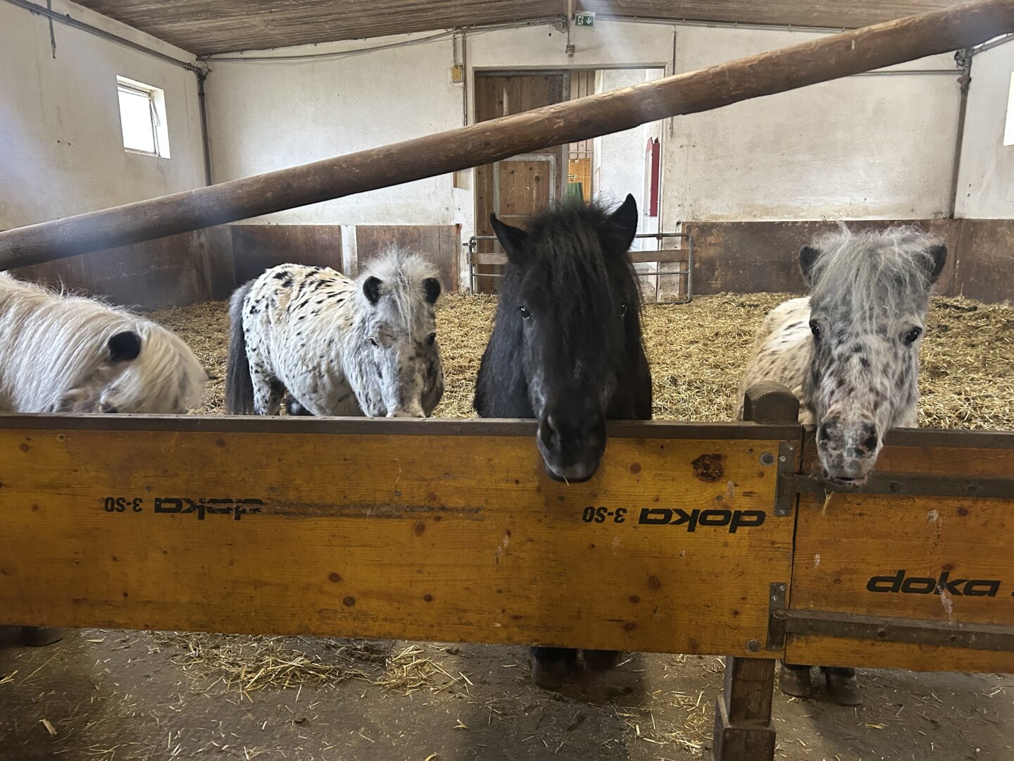 Romantischer Reithof mit Potential