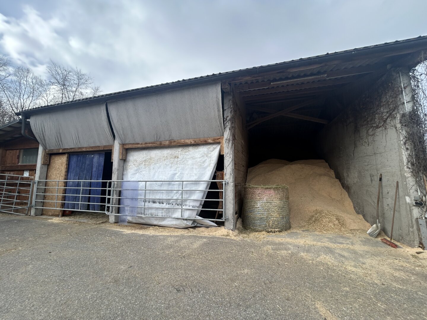 Romantischer Reithof mit Potential