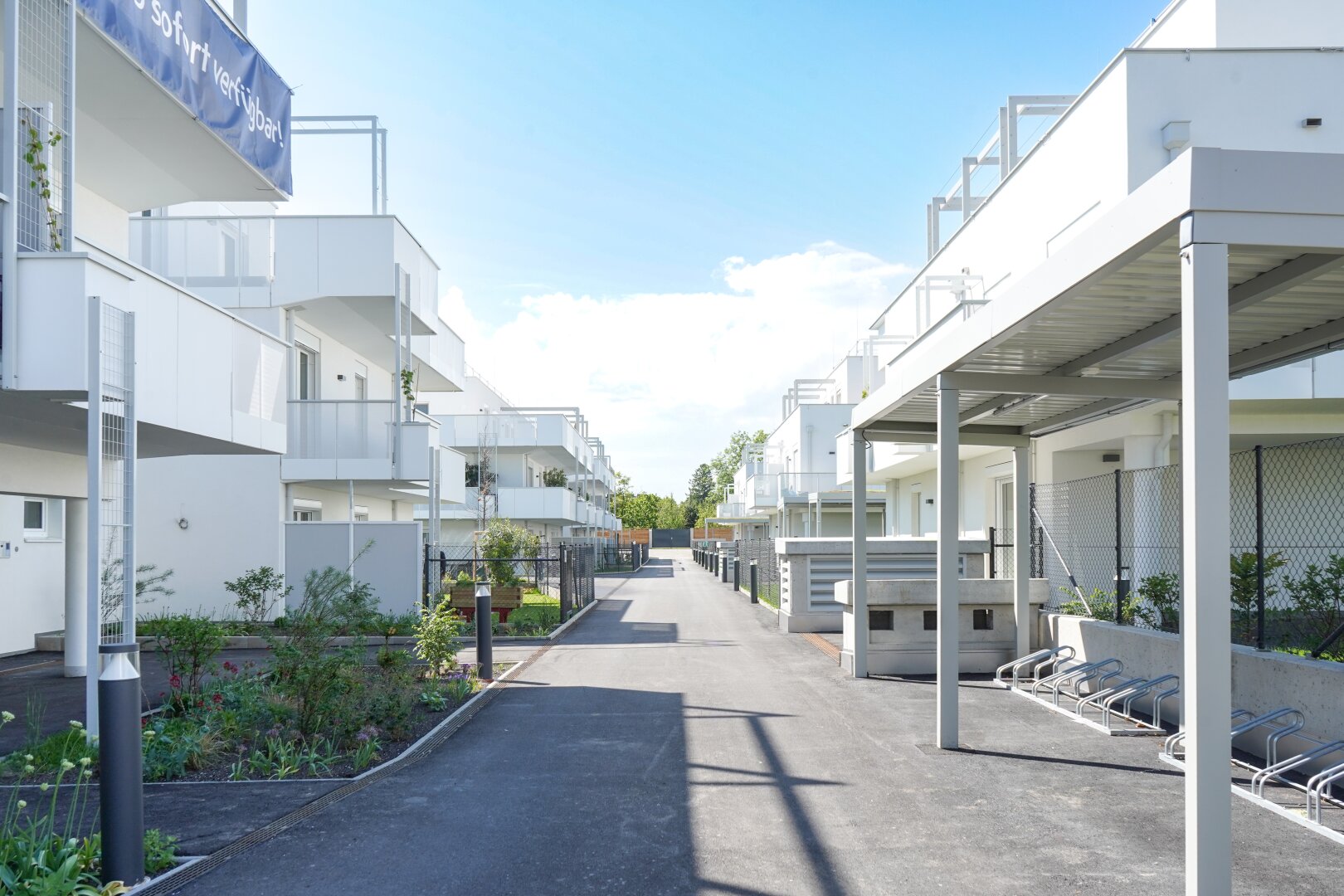 Profitieren Sie von der Natur bei THE VINEYARD – Investieren Sie in die Zukunft