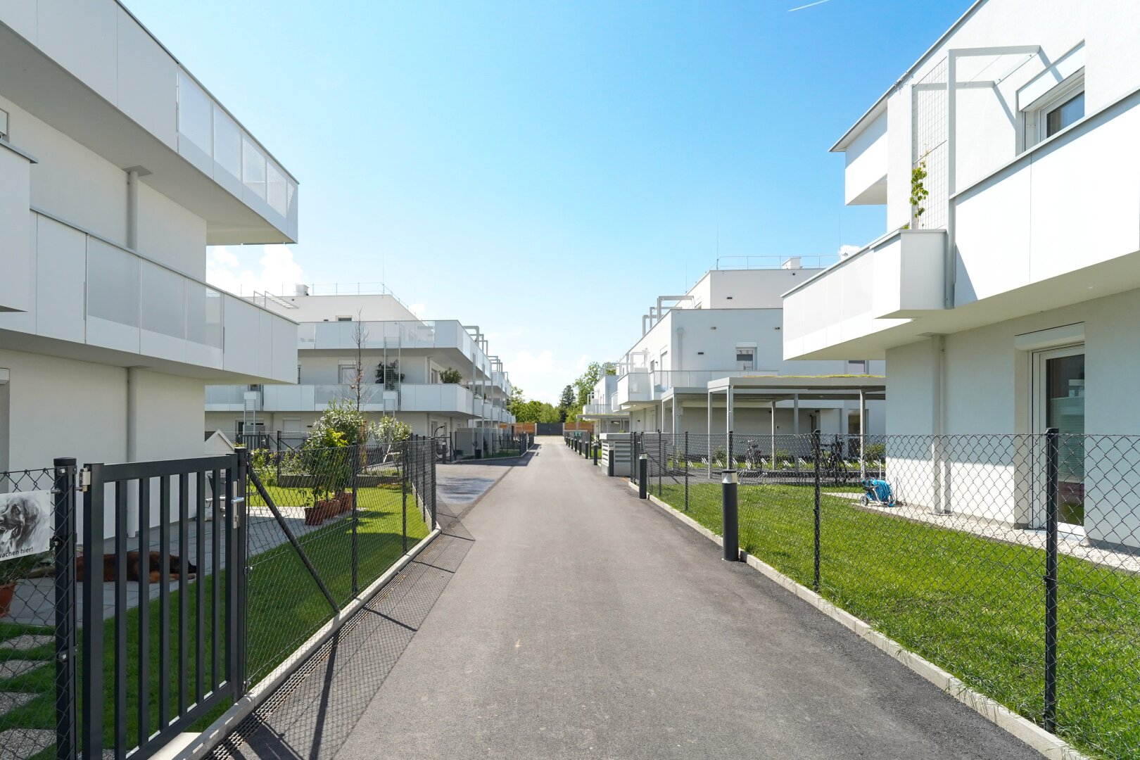 Profitieren Sie von der Natur bei THE VINEYARD – Investieren Sie in die Zukunft