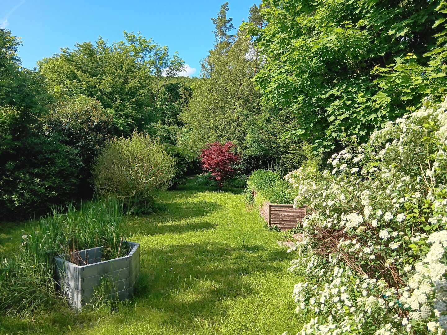 Gepflegtes Einfamilienhaus mit großem Garten, Carport,  inkl. Luft-/Wasserwärmepumpe, Photovoltaik und Solarenergie