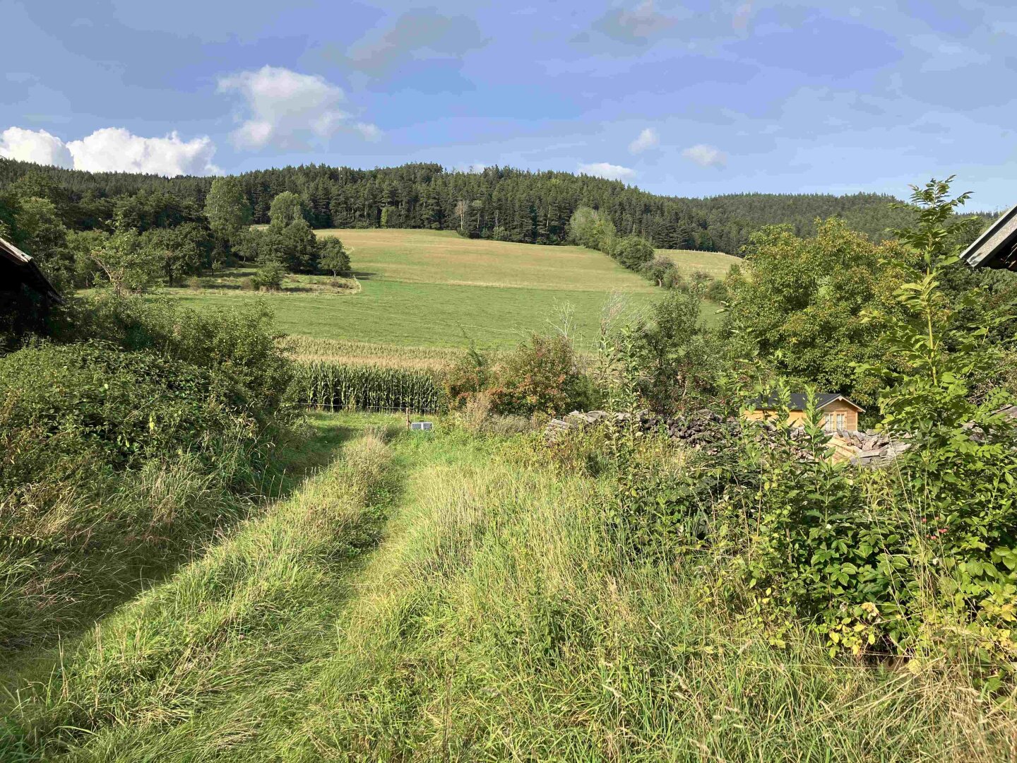 Grünland-Bauland