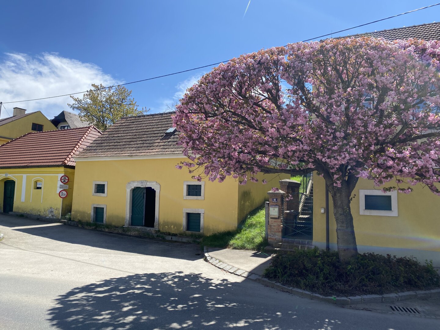 Weinkeller im Bau und Wohngebiet nahe Ortszentrum