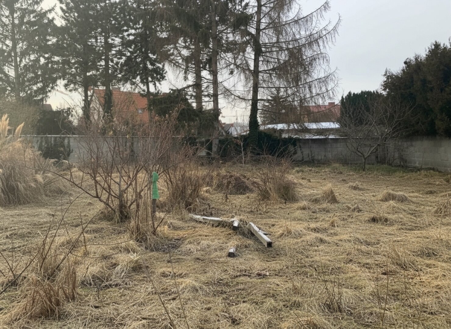 Gartenbereich