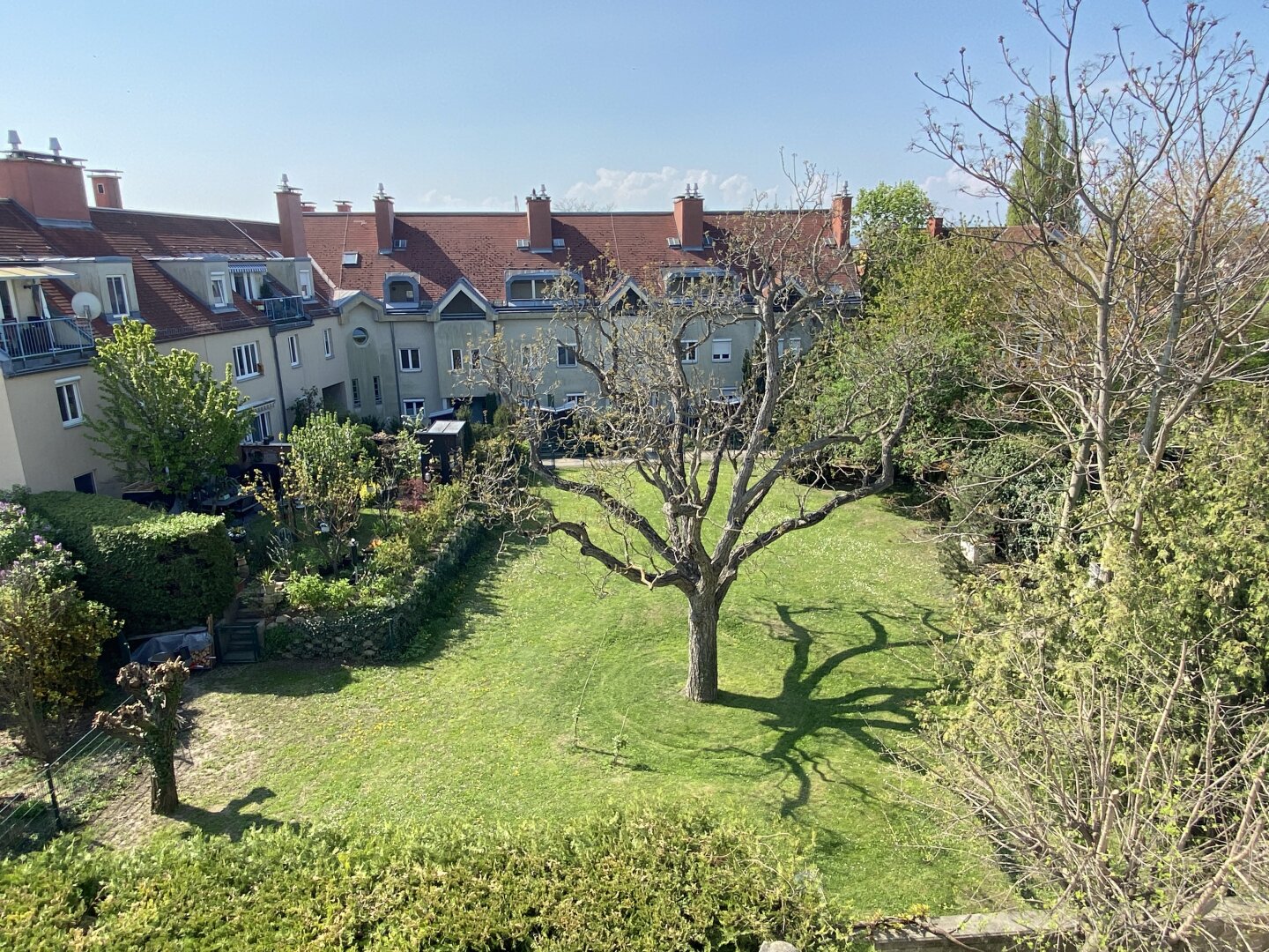 Blick vom Wohnzimmer in den Gemeinschaftsgarten
