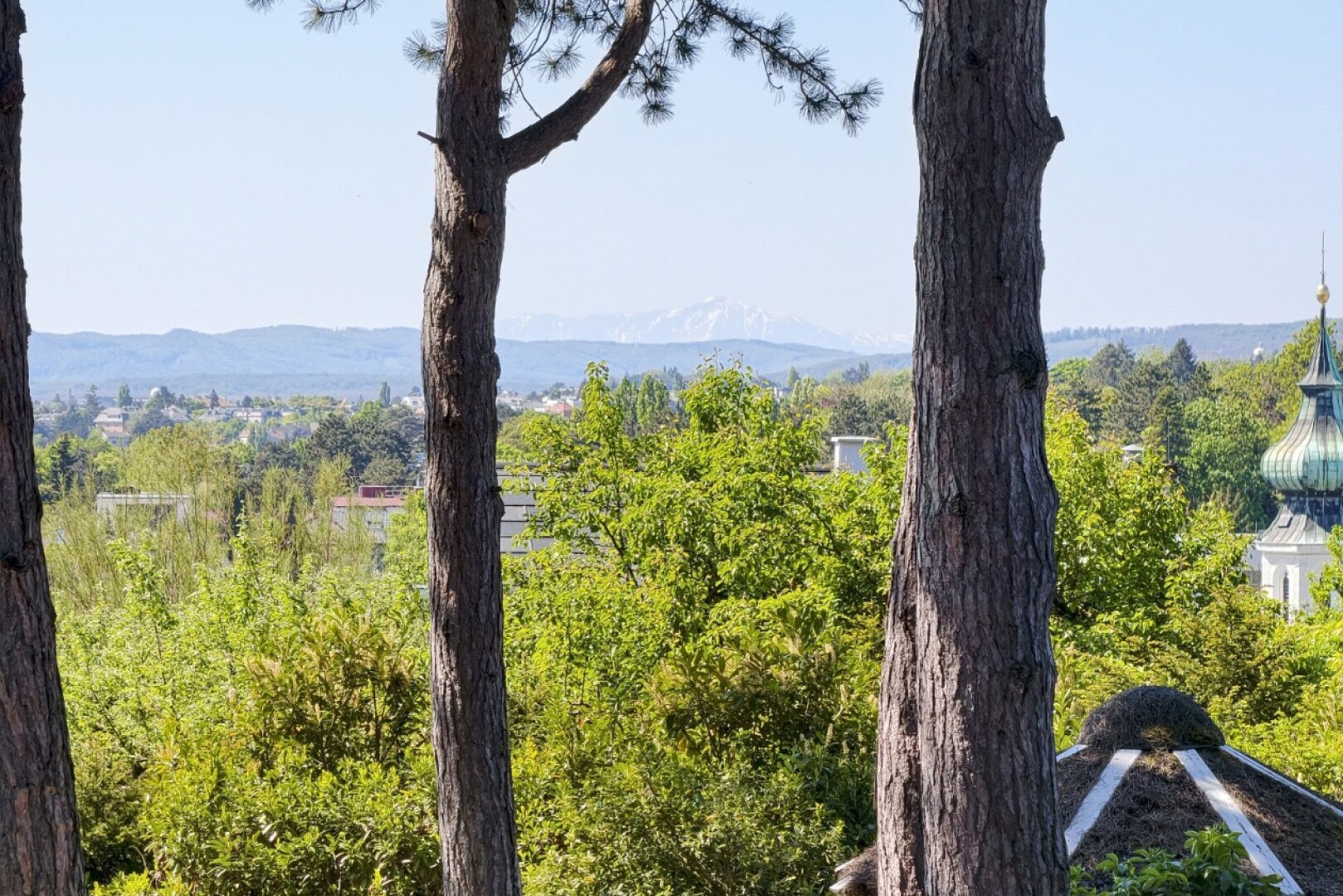 Wohnen mit Geschichte: Villa mit spektakulärer Aussicht im beliebten Grinzing!