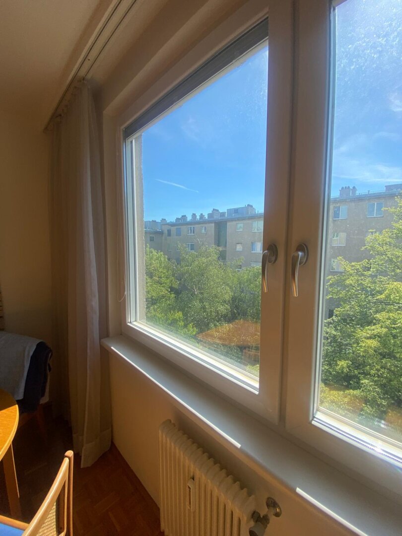 Ausblick in in den grünen Innenhof