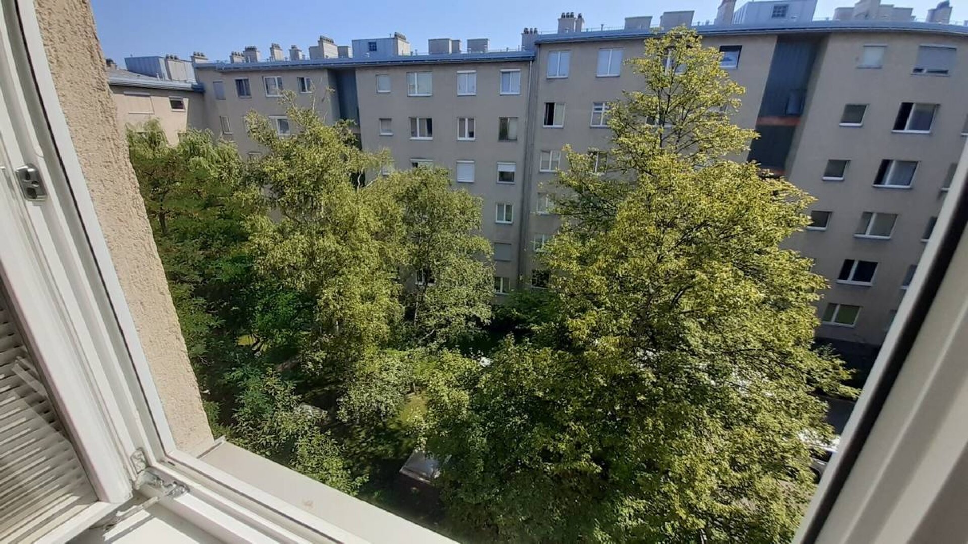 Ausblick in in den grünen Innenhof
