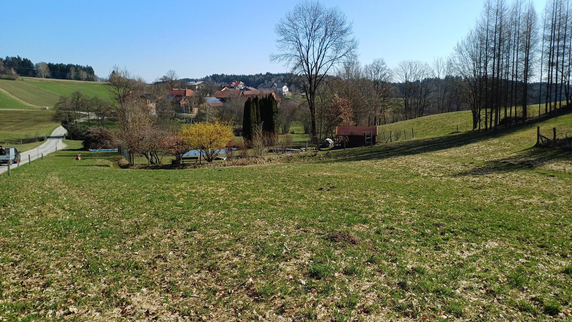 Wiese