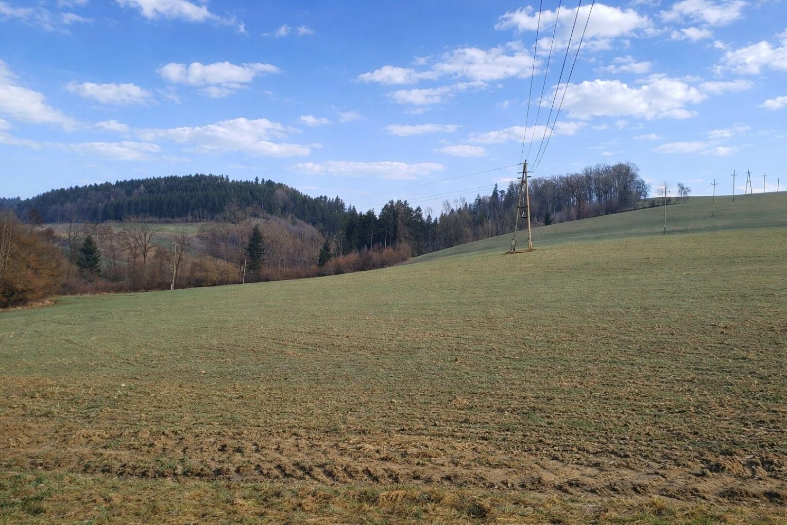 landw. Grundstück (2)
