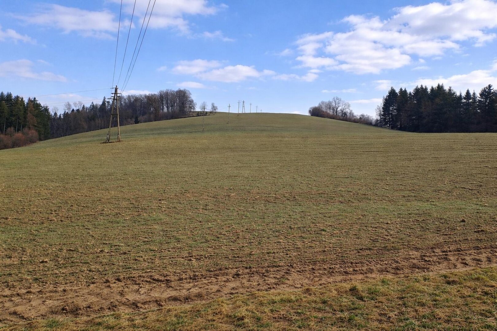 landw. Grundstück (3)