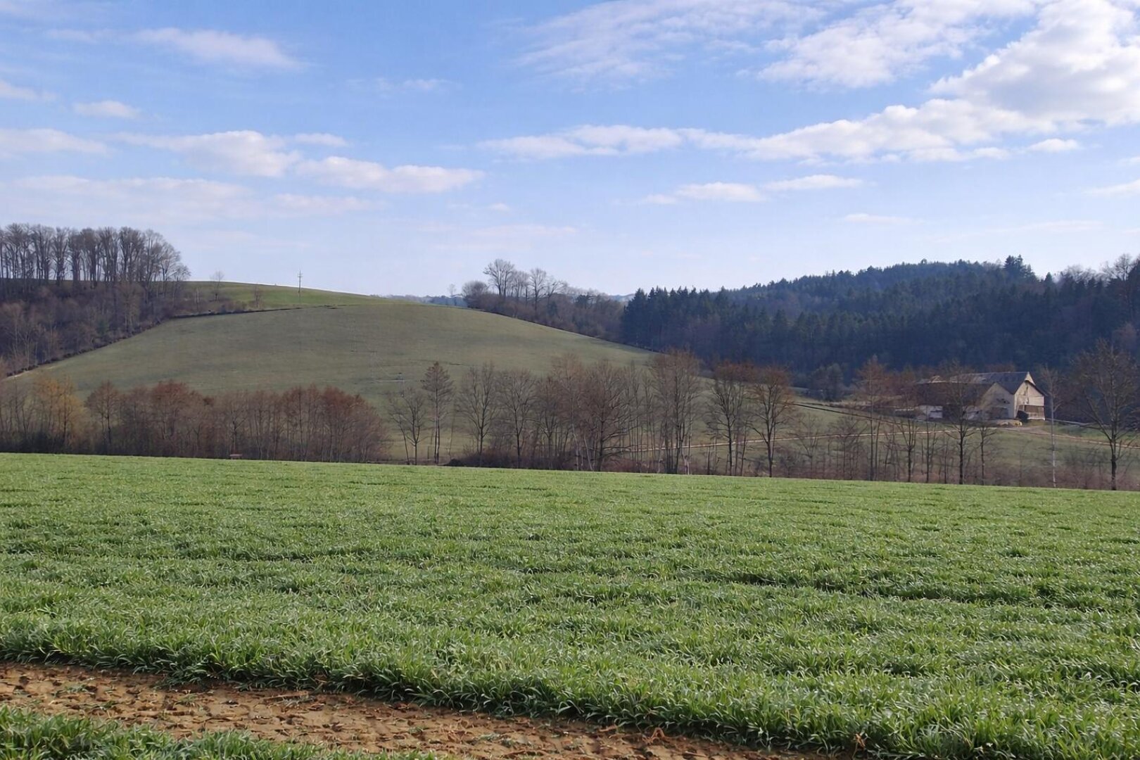 Landwirtschaftliche Nutzflächen in St. Agatha / Waizenkirchen