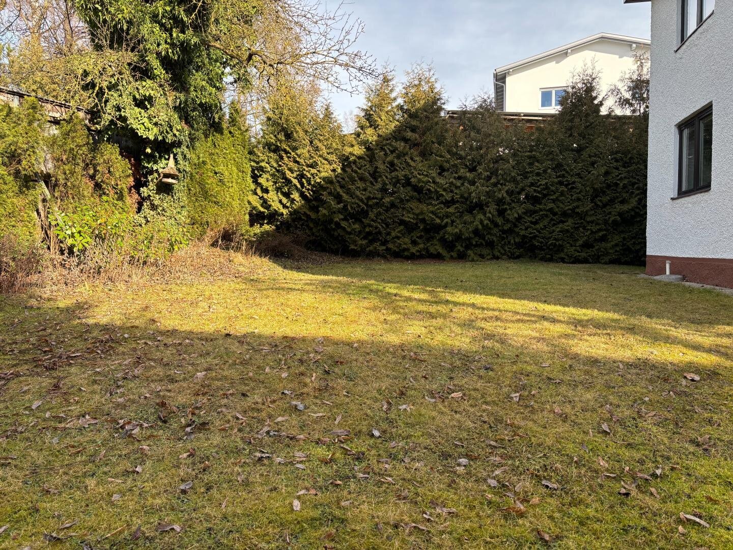 4_Garten