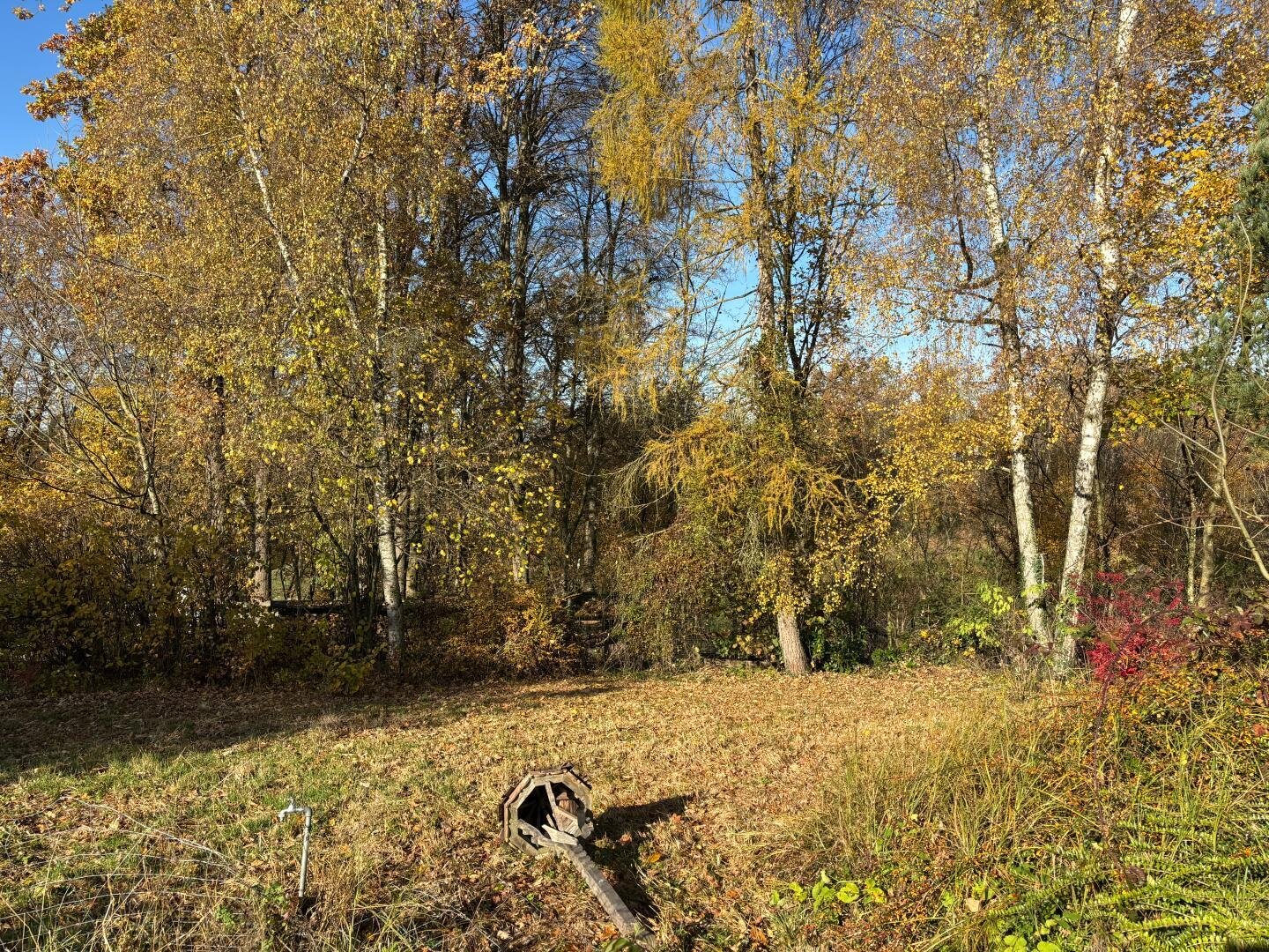Grundstück  (2)