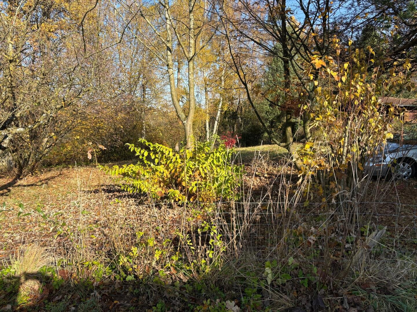 Grundstück  (4)