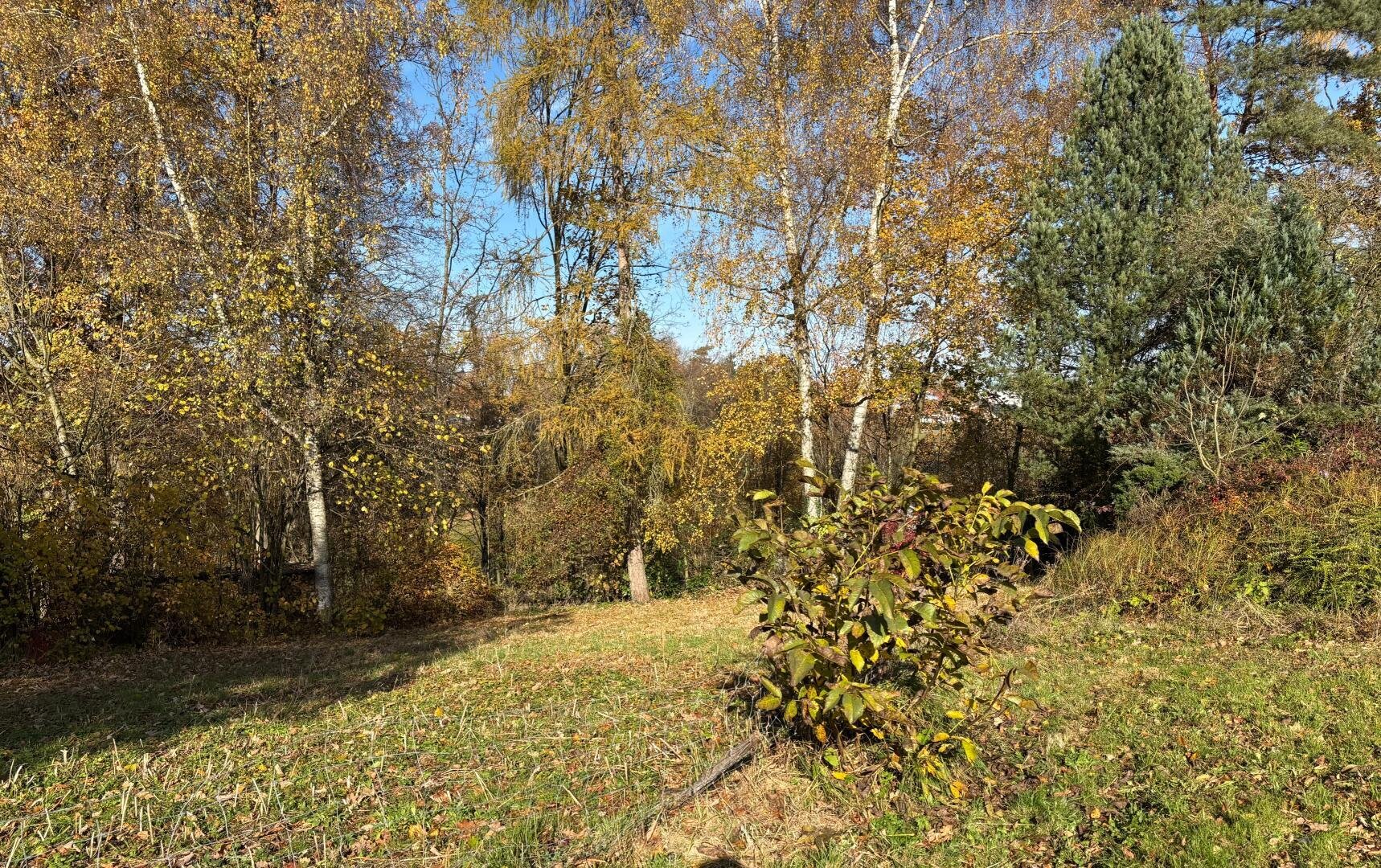 Grundstück  (5)