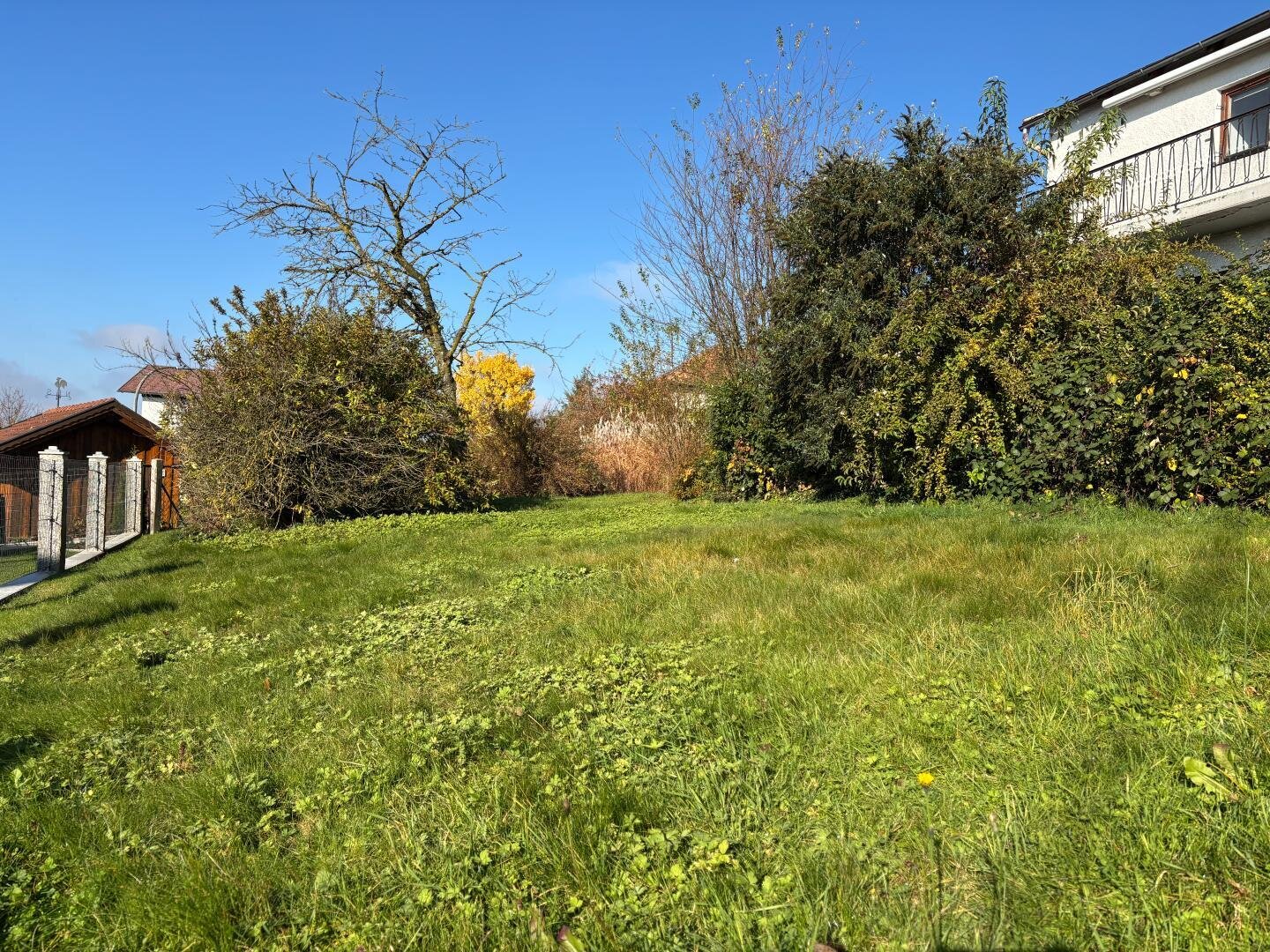 4_Garten