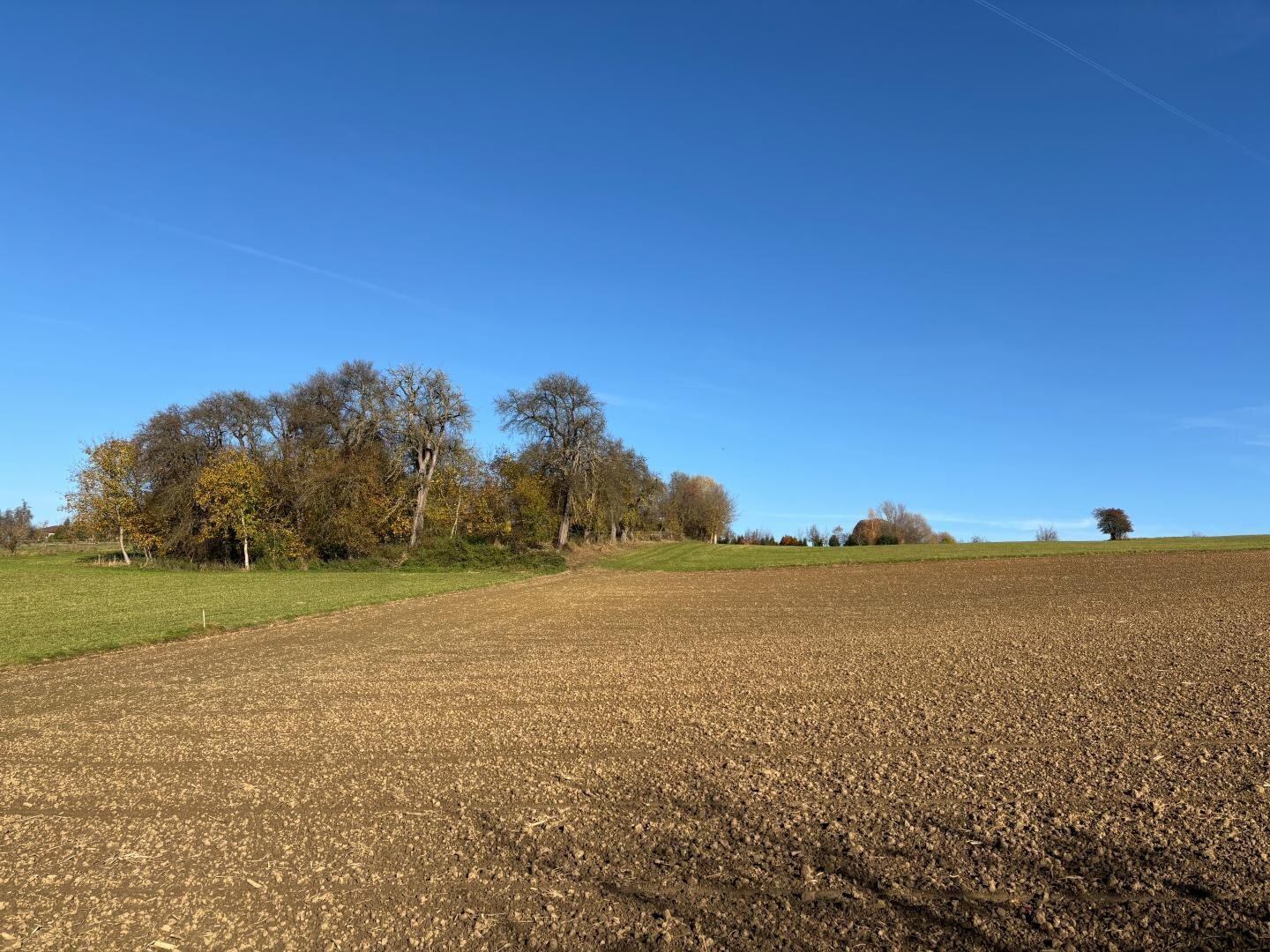 Aussicht_Terrasse