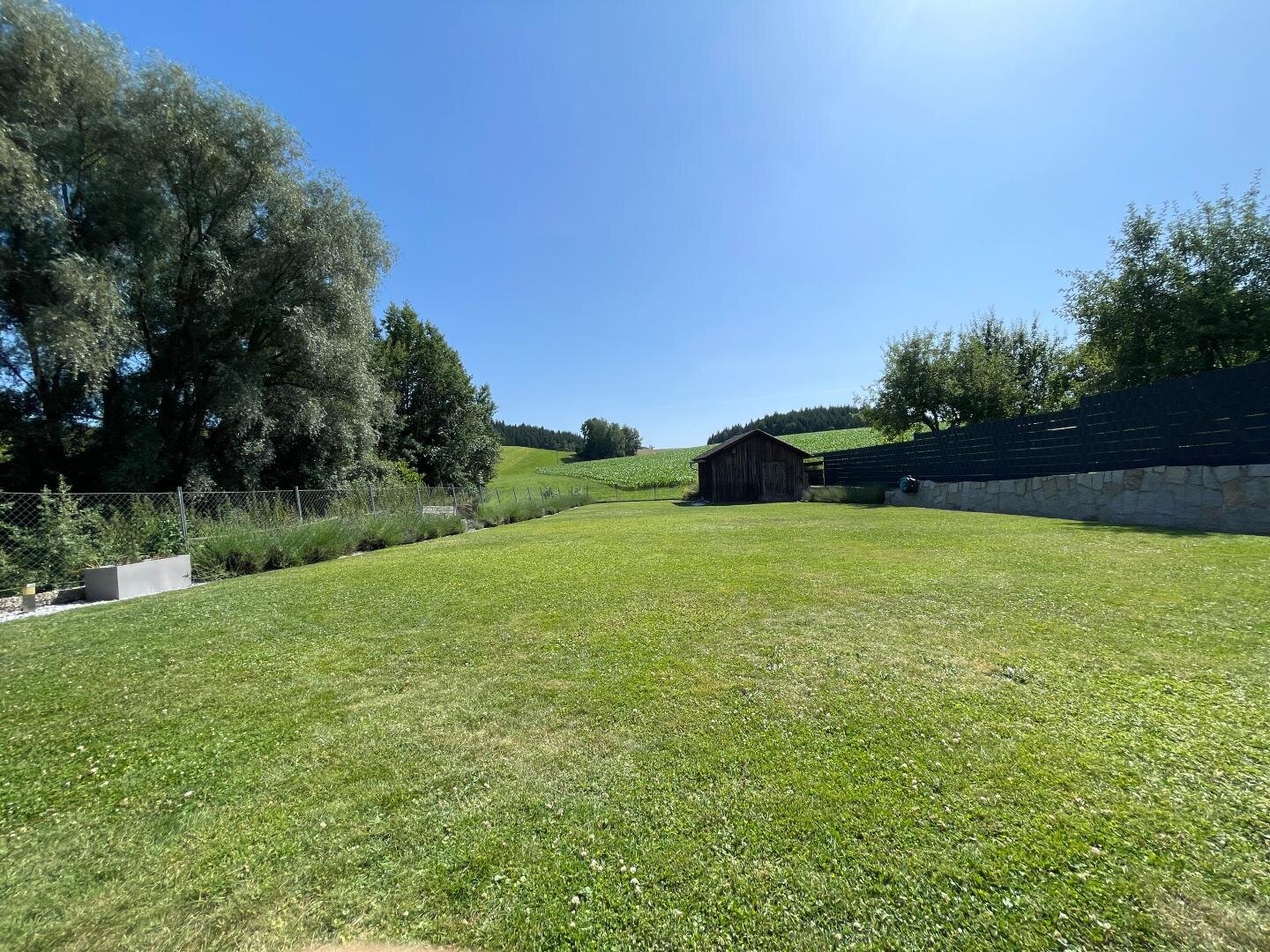 7_Garten