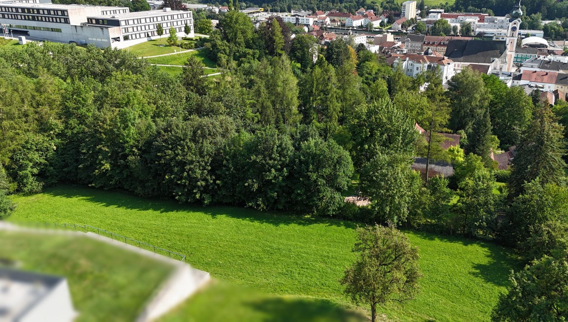 4 Wiese über Grieskirchen
