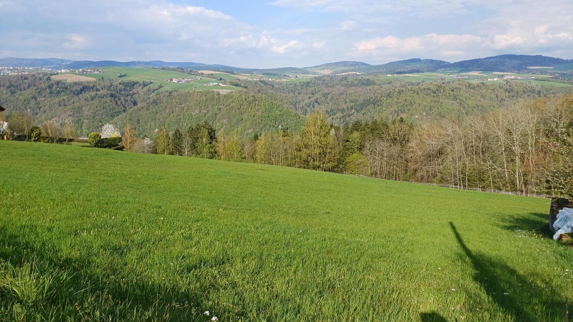 Grundstück (3)