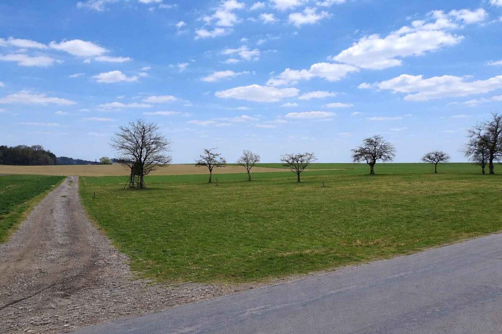 Liegenschaft St. Willibald (2)