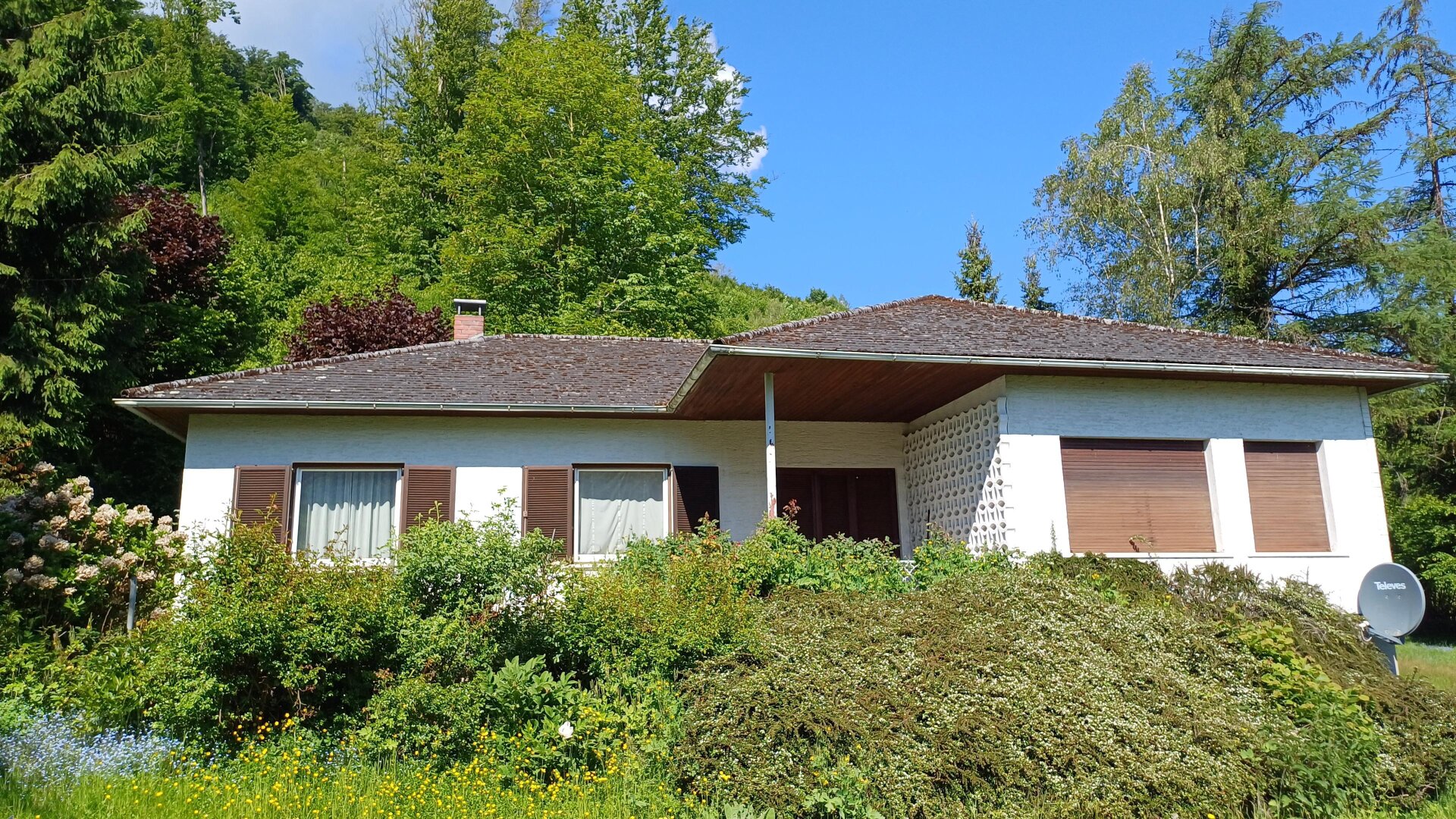 Bungalow mit Donaublick