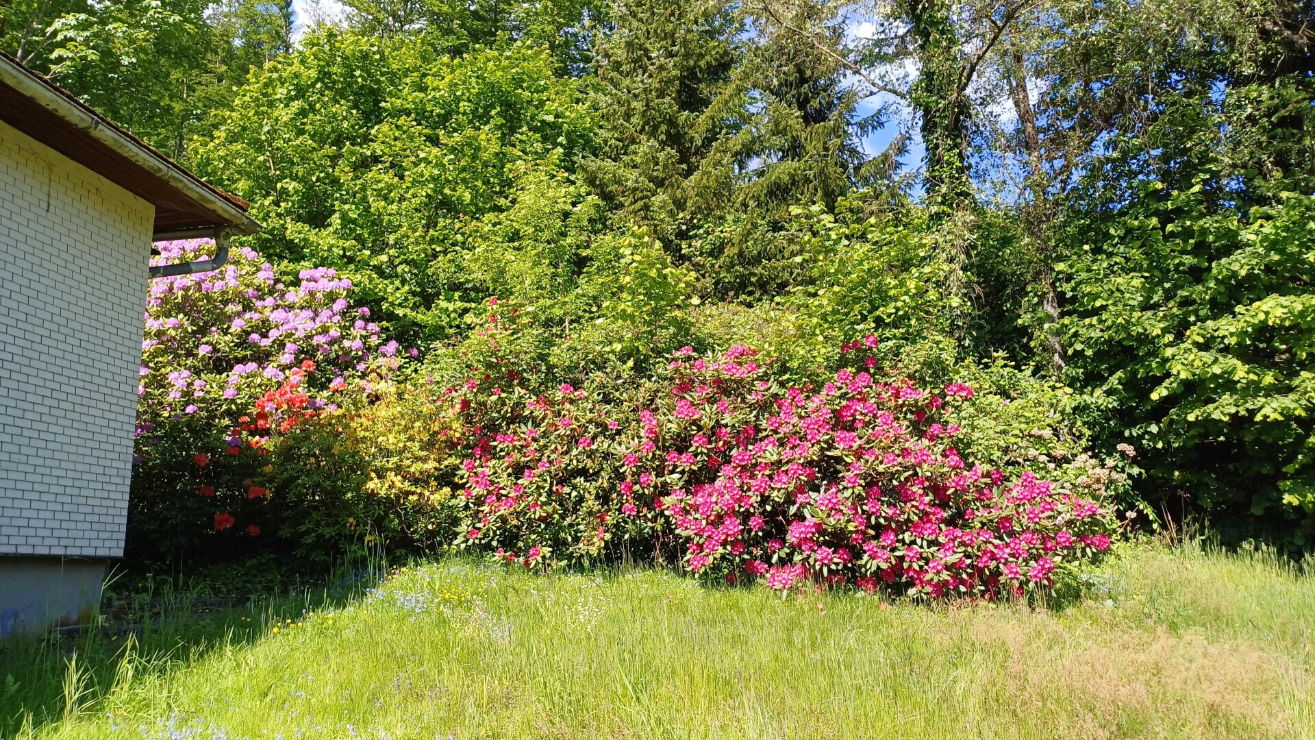 Bungalow mit Donaublick