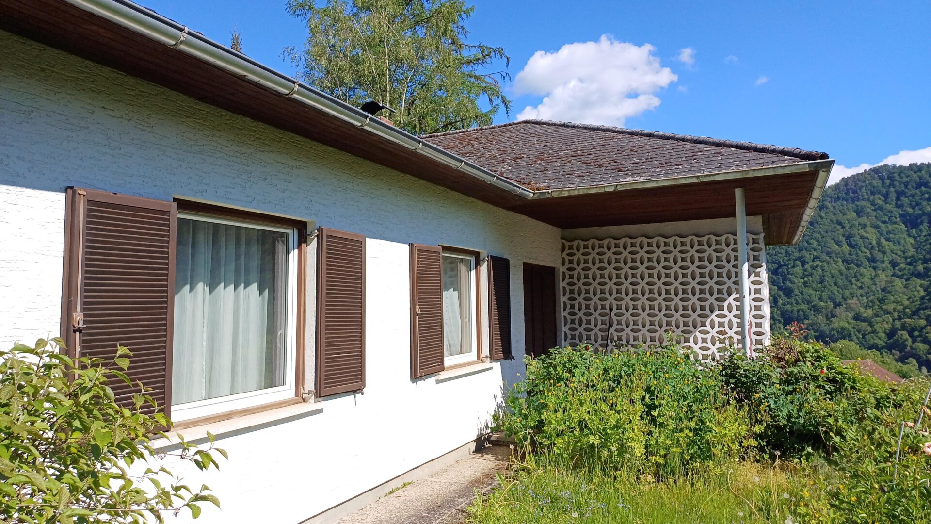 Bungalow mit Donaublick