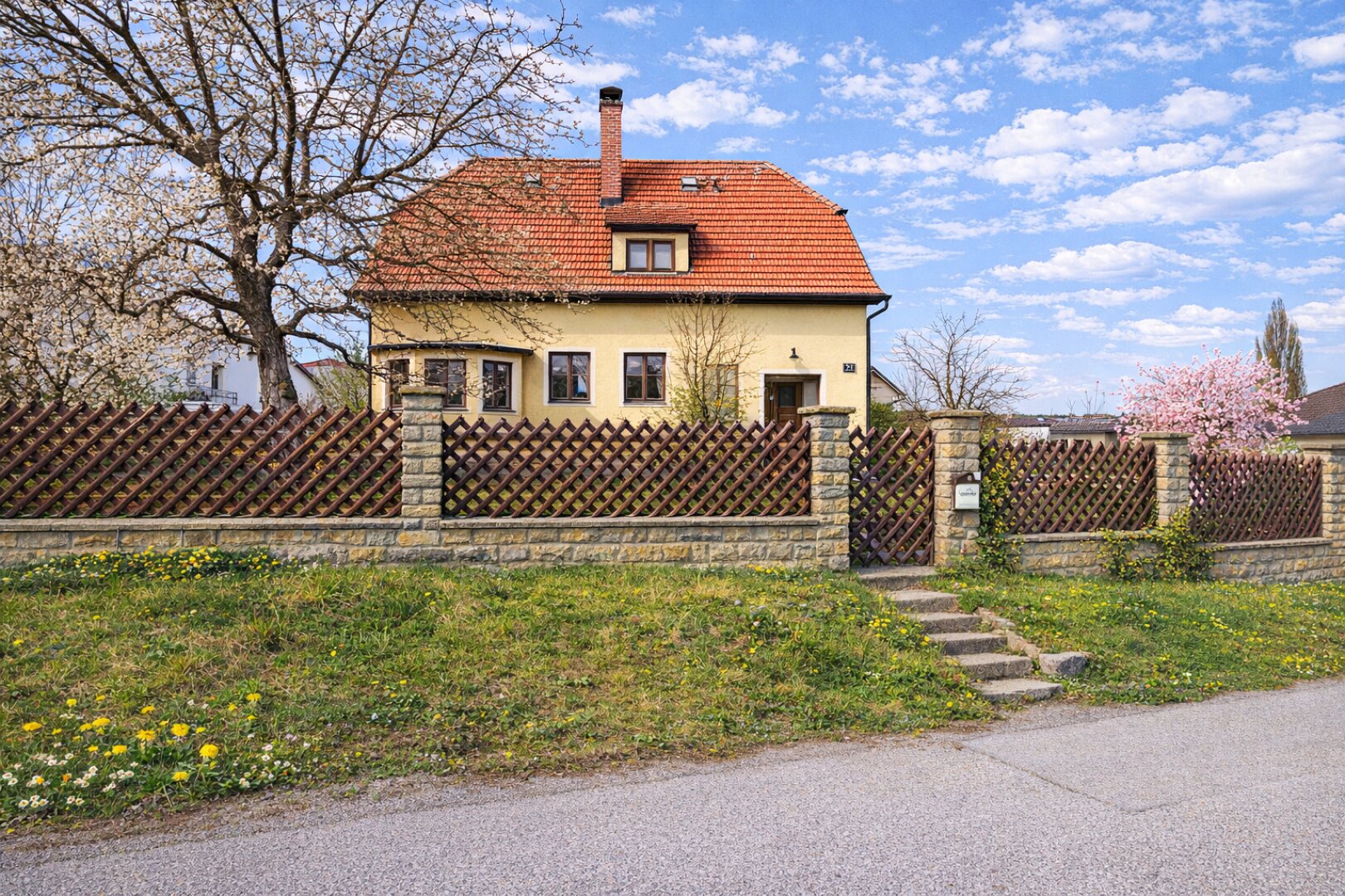 Seitliche Straßenansicht - Eingang