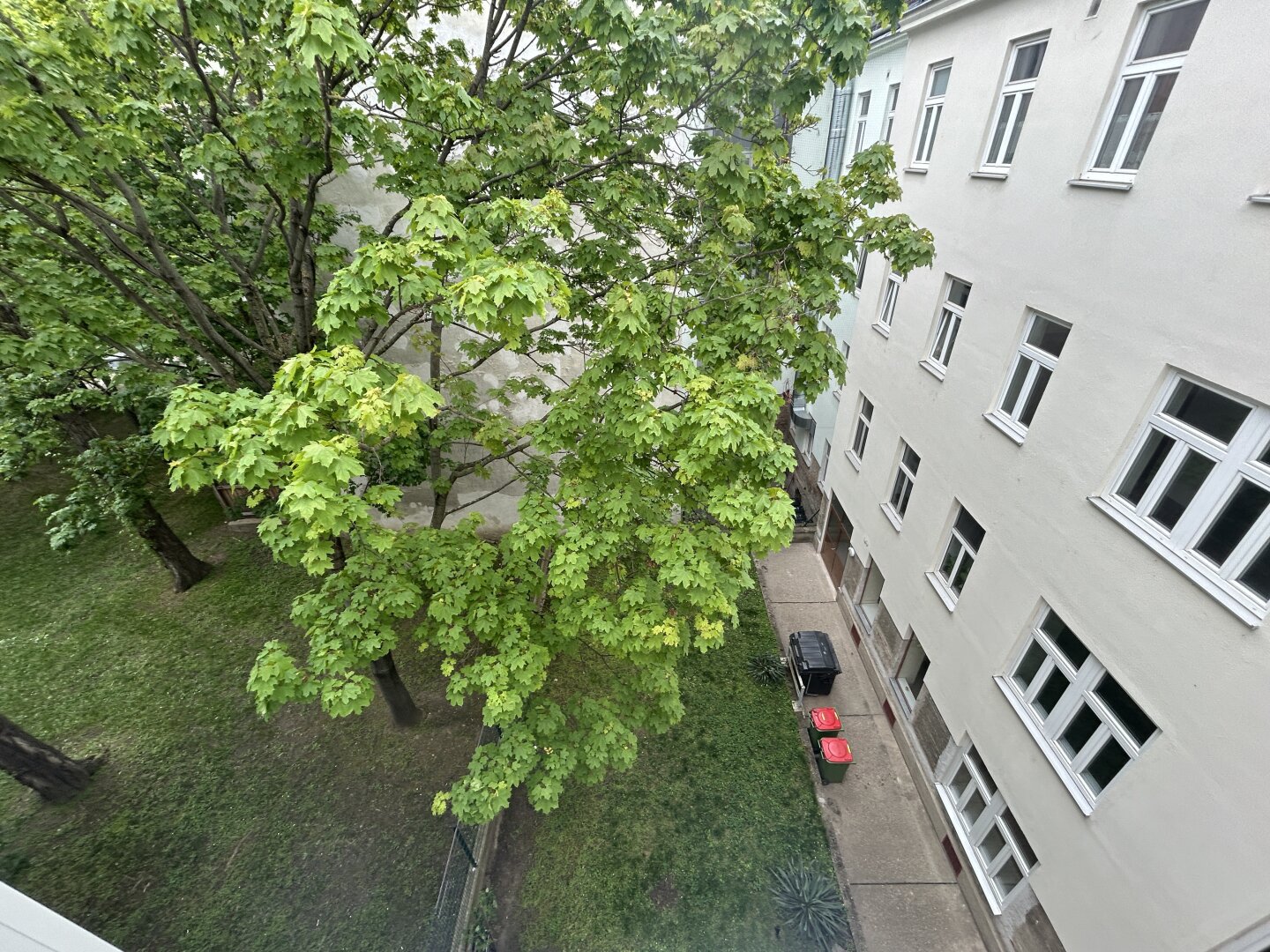 Brotfabriknähe / helle 66 m² Altbaumiete / unbefristete Hauptmiete