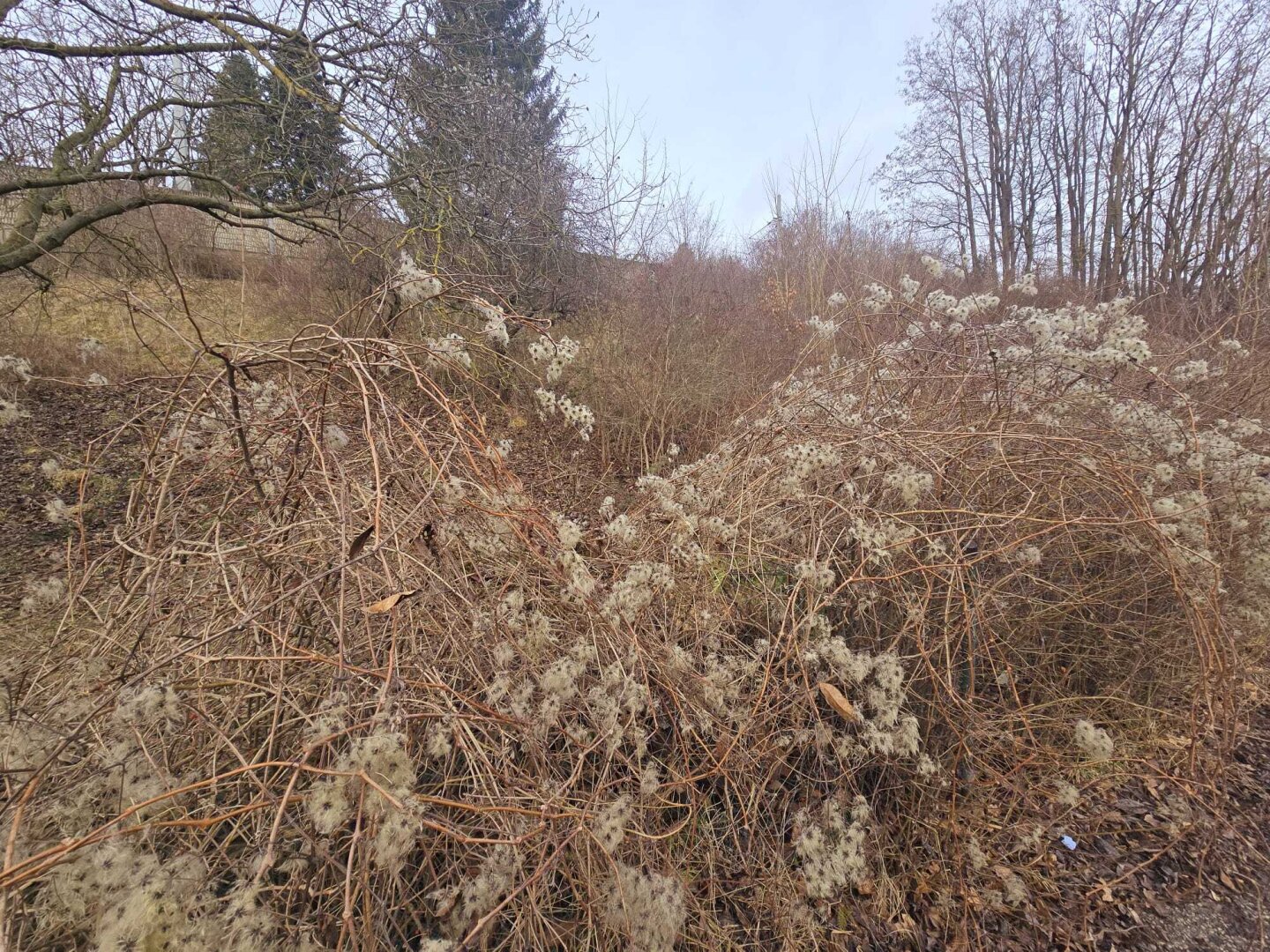 + BAUGRUNDSTÜCK 1.190m² in PUKERSDORF ++Preis 290.000 Euro++