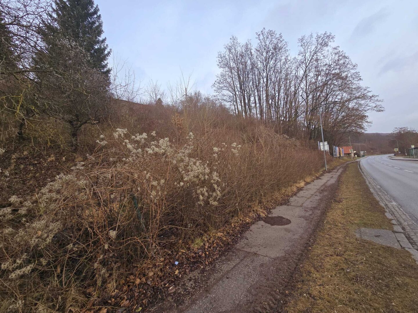 + BAUGRUNDSTÜCK 1.190m² in PUKERSDORF ++Preis 290.000 Euro++
