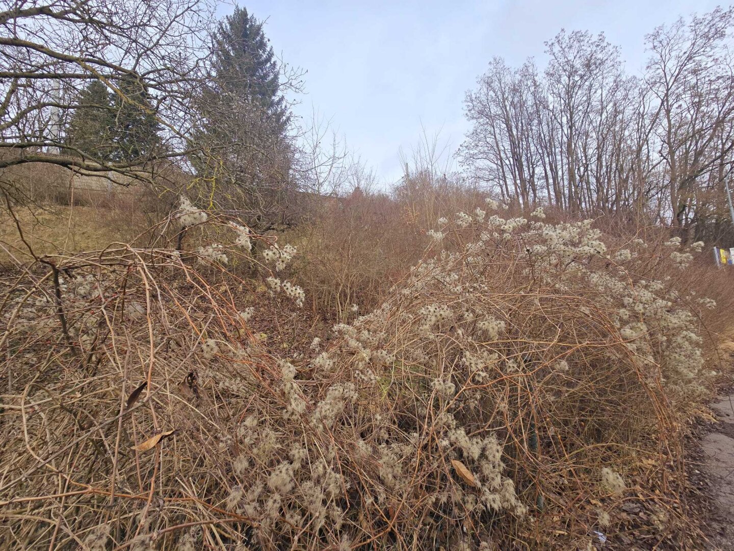 + BAUGRUNDSTÜCK 1.190m² in PUKERSDORF ++Preis 290.000 Euro++