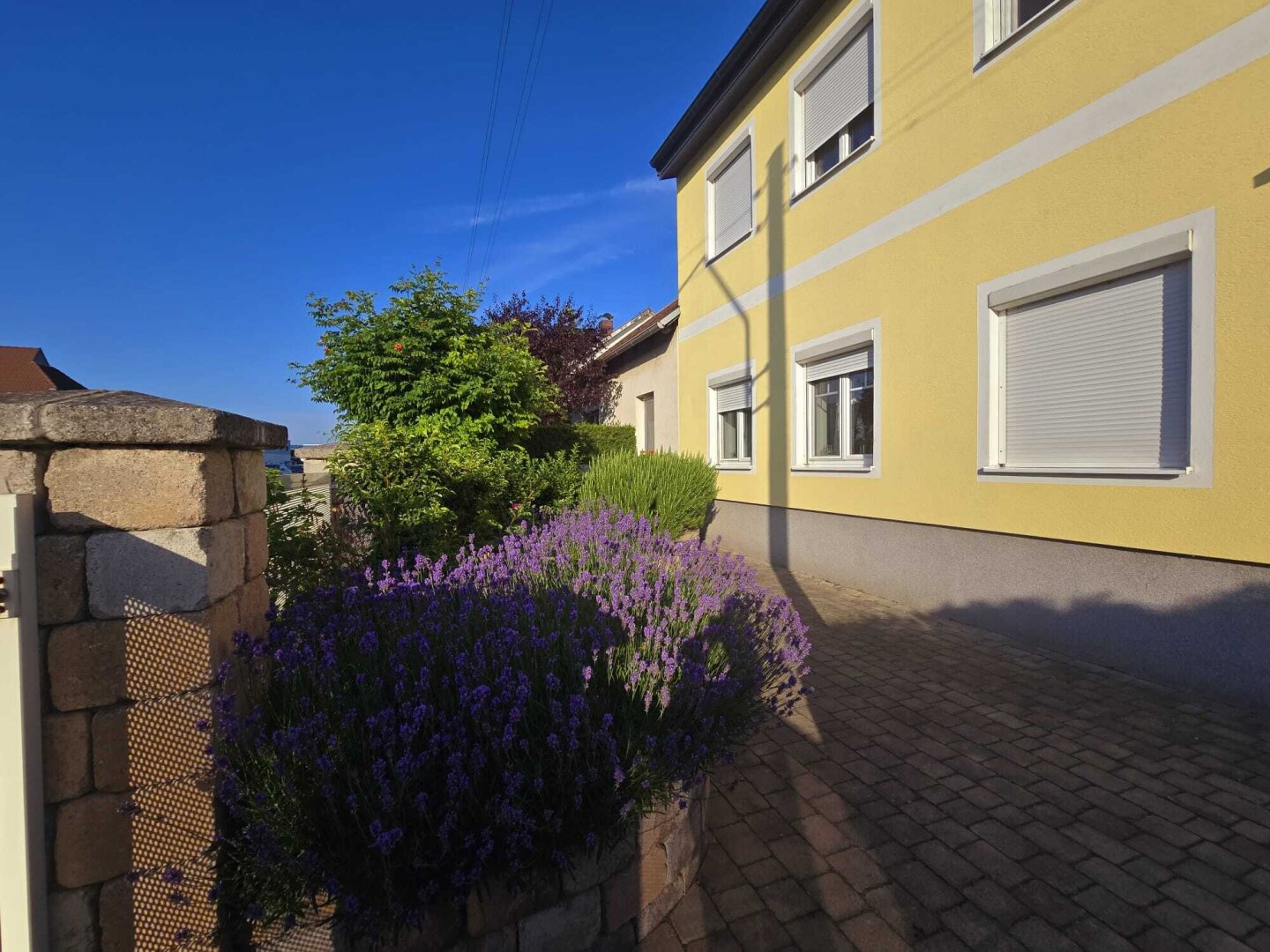 + EINFAMILIENHAUS / Grenze Deutsch Wagram + Grundstück 774m² + BEHEIZTER POOL MIT ÜBERDACHUNG  + GARAGE + CARPORT  + NÄHE S-BAHN +