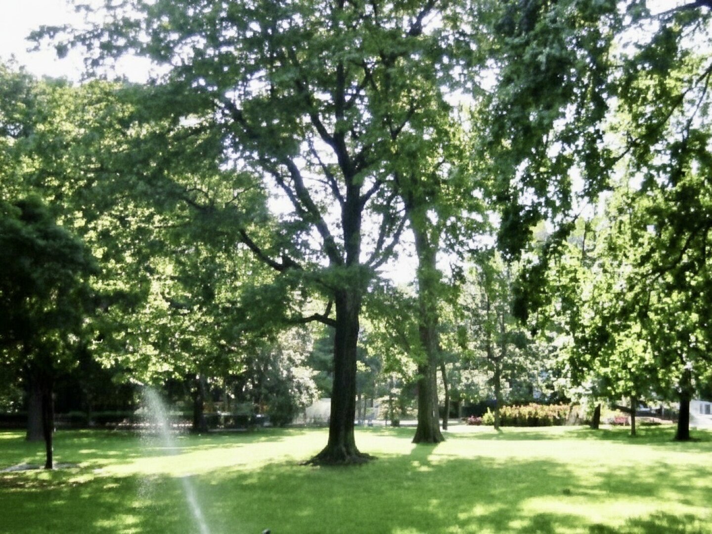 Unbefristet im Diplomatenviertel! Repräsentative 5-Zimmer-Stilaltbau-Wohnung mit zwei kleinen Balkonen beim Arenbergpark