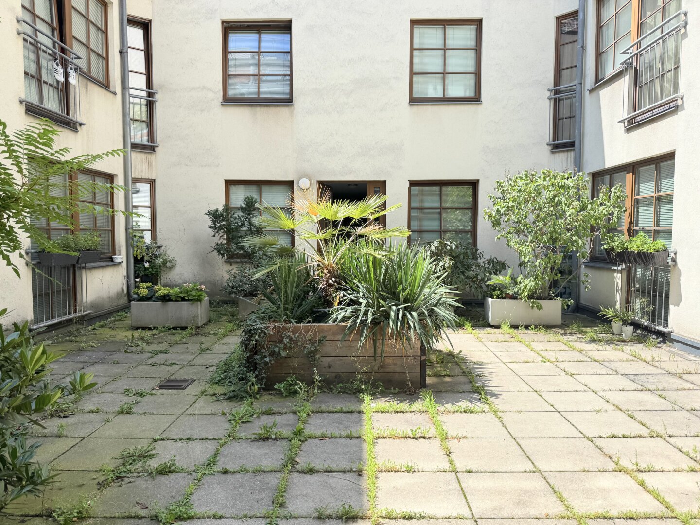 Bestlage beim Hamerlingplatz! Lichtdurchflutete 3-Zimmer-Altbau-Wohnung in saniertem Vorstadthaus inklusive zwei Garagenplätze