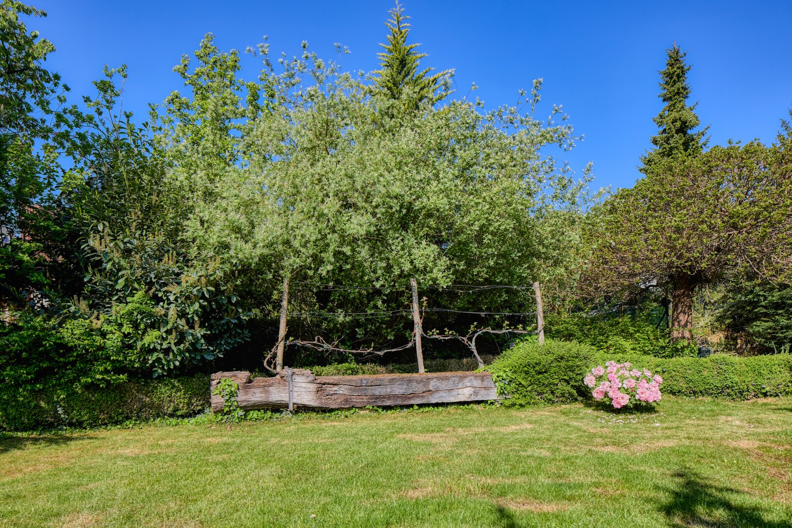 +++ Einmalige Jugendstilvilla mit Traumgarten, Pool & Weinkeller in Bestlage von SOPRON +++