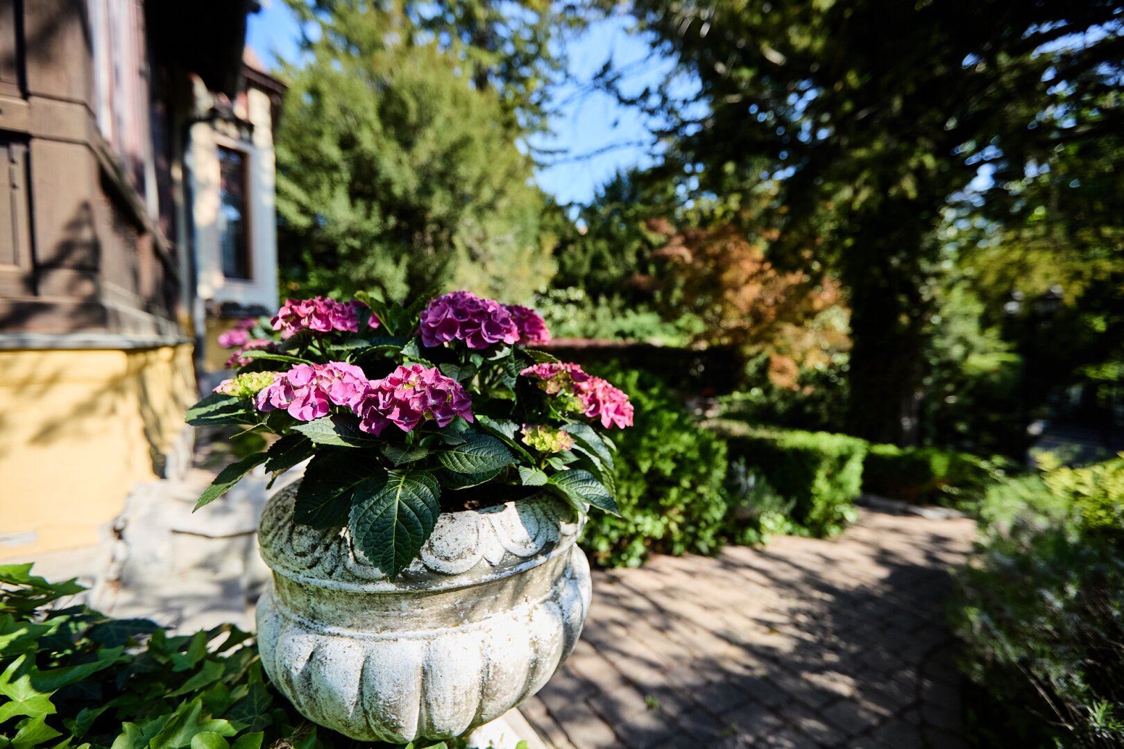 +++ Einmalige Jugendstilvilla mit Traumgarten, Pool & Weinkeller in Bestlage von SOPRON +++