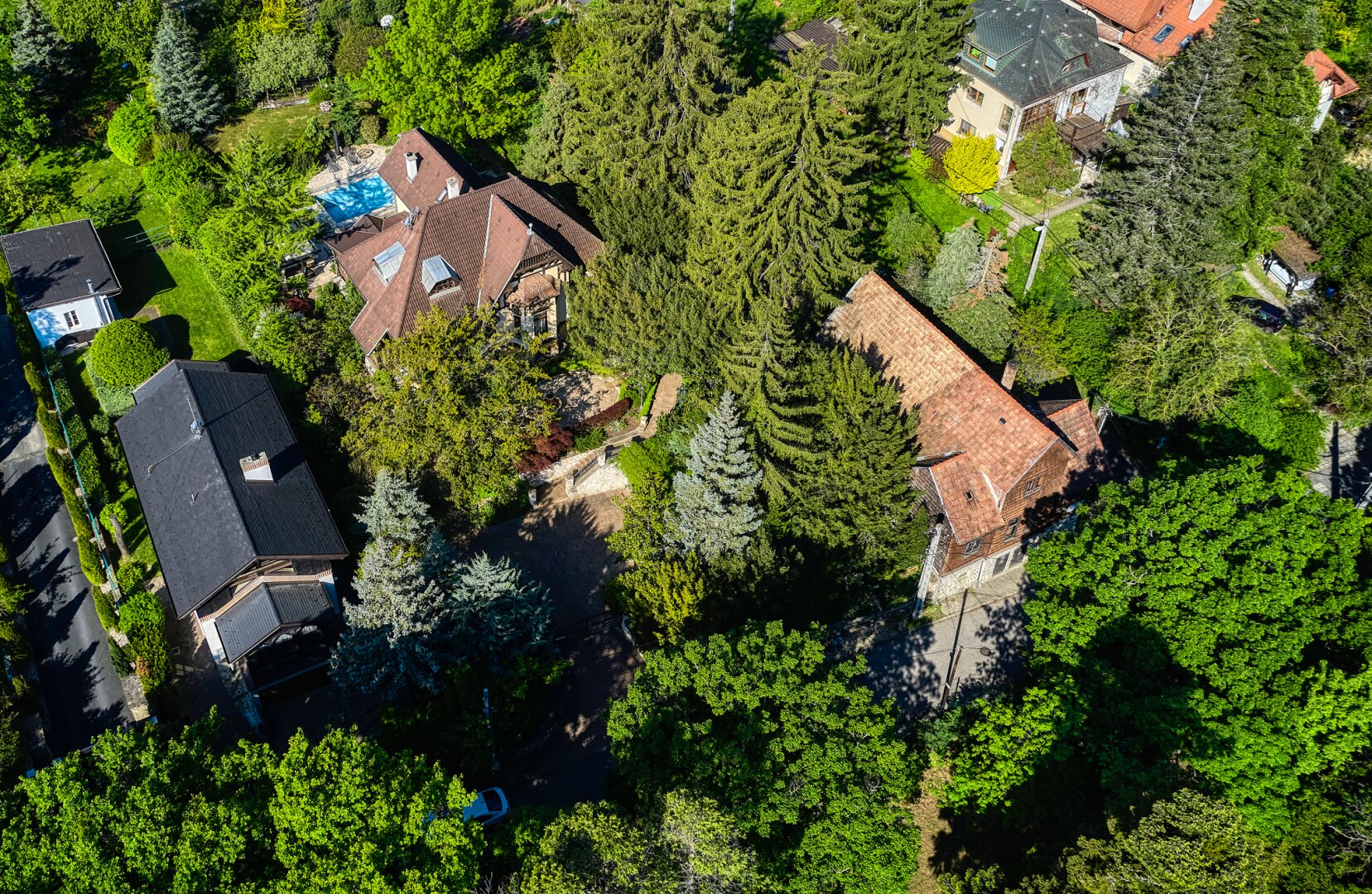 +++ Einmalige Jugendstilvilla mit Traumgarten, Pool & Weinkeller in Bestlage von SOPRON +++