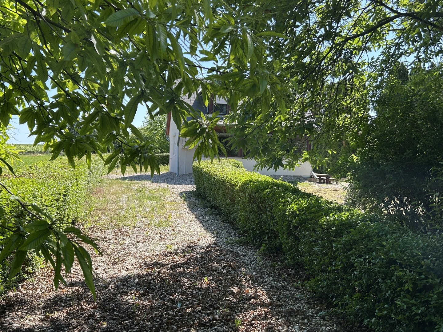 ++ Zum Verkauf gelangt ein Ferienhaus in Ruhelage, direkt am Bene-hegyi-See in Csepreg! ++