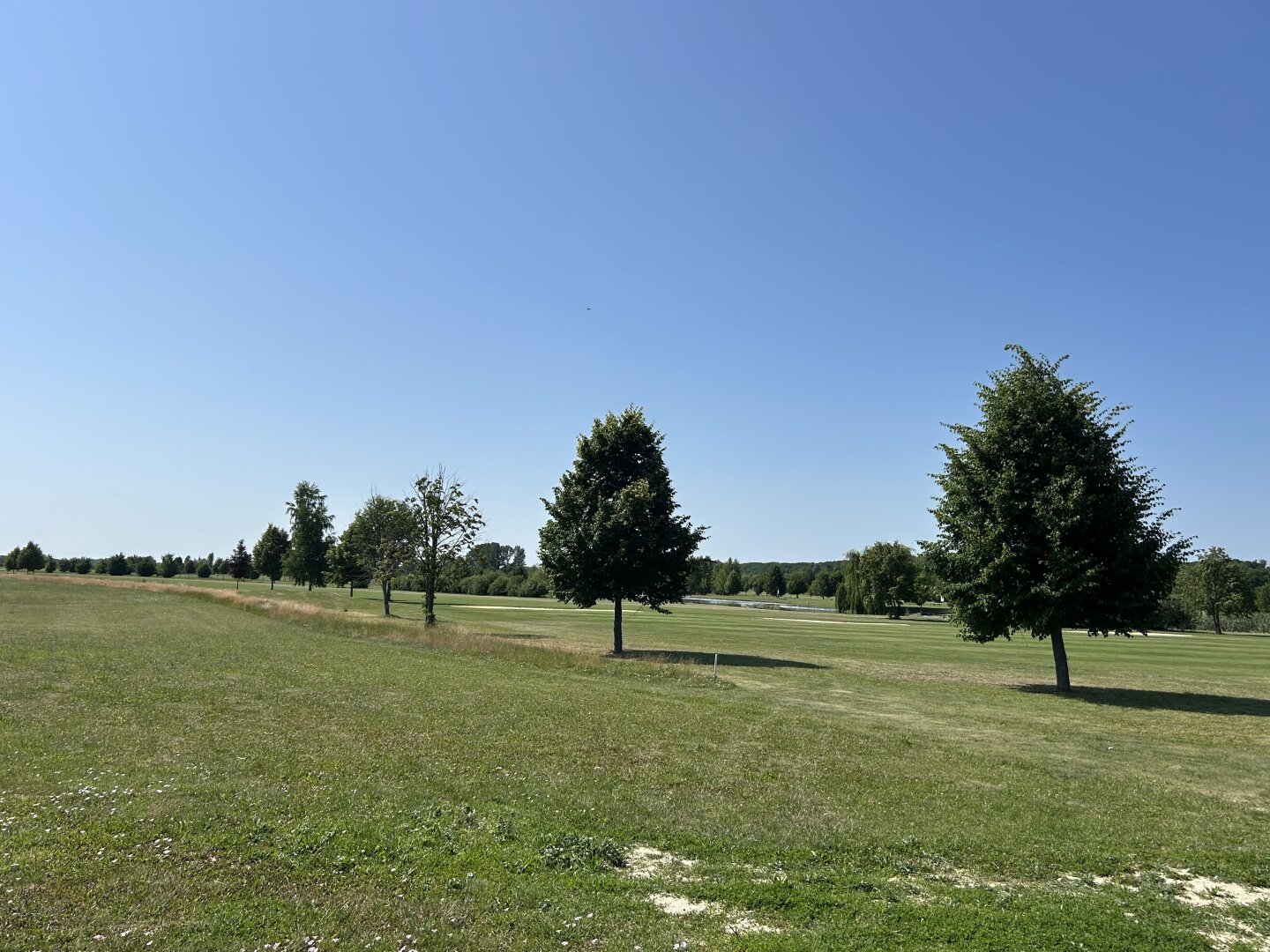 ++Wohnen wo andere Urlaub machen,das Chalet am Golfplatz unmittelbar neben der Therme Lutzmannsburg++