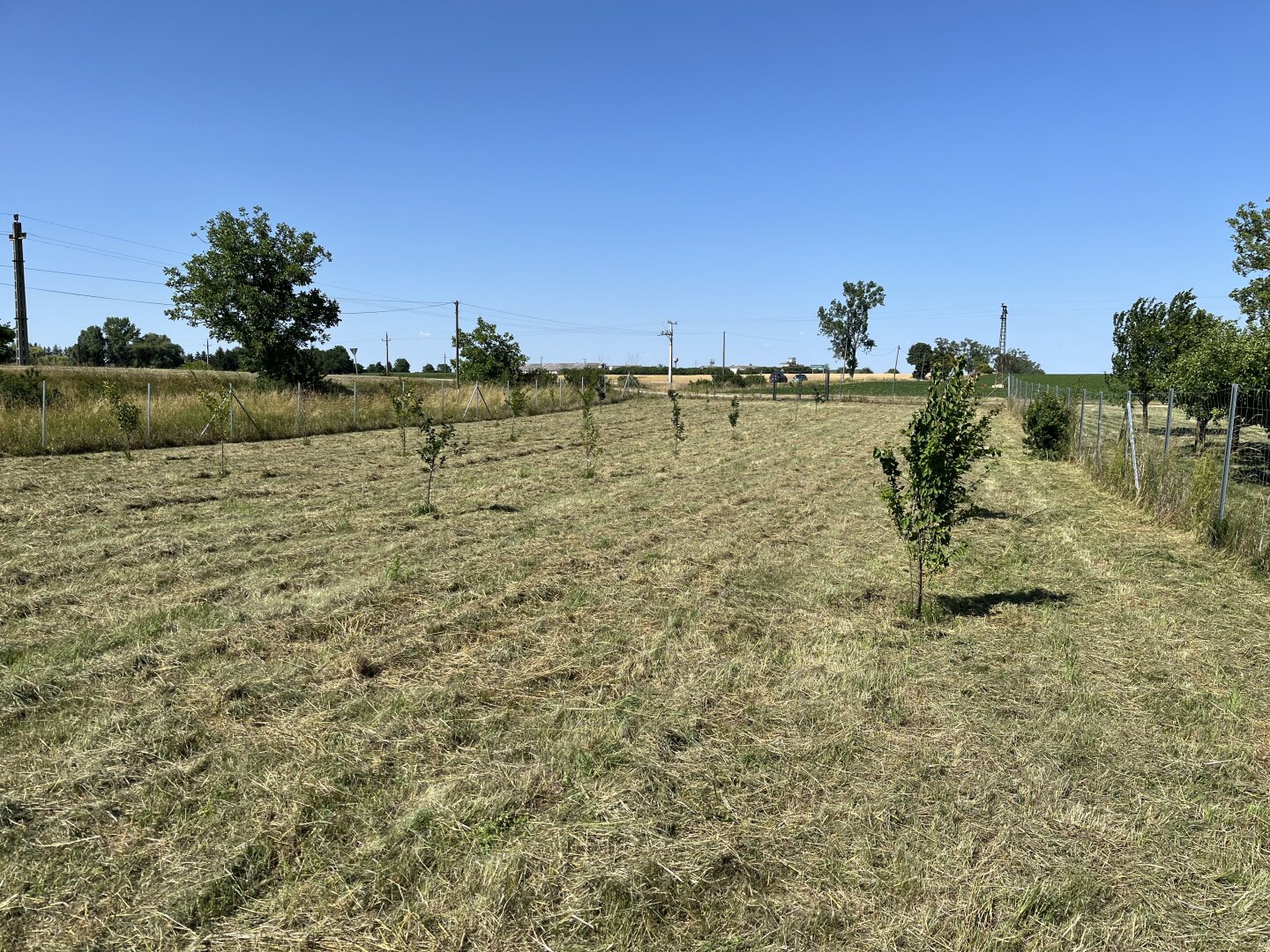+++Traumhaus mit ländlicher Eleganz – ein geschmackvoll gestaltetes Einfamilienhaus im Herrenhausstil im Herzen von Lövő!+++