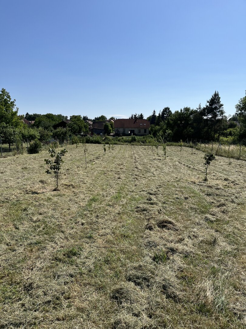 +++Traumhaus mit ländlicher Eleganz – ein geschmackvoll gestaltetes Einfamilienhaus im Herrenhausstil im Herzen von Lövő!+++