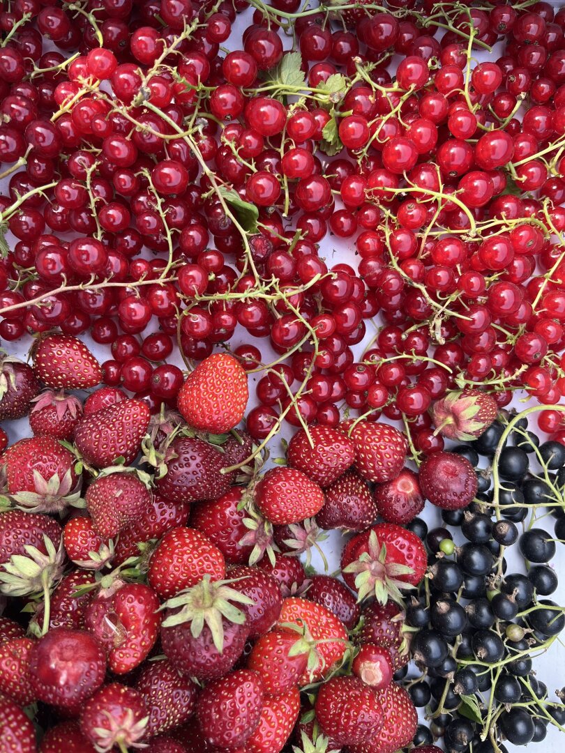 +++Traumhaus mit ländlicher Eleganz – ein geschmackvoll gestaltetes Einfamilienhaus im Herrenhausstil im Herzen von Lövő!+++