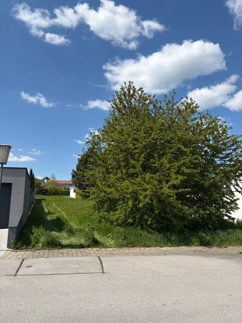 700 m² Lebensqualität in Ruhelage – Ihr Grundstück am Villasteig 19 in Breitenbrunn am Neusiedlersee